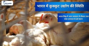 Read more about the article भारत में कुक्कुट उद्योग की स्थिति