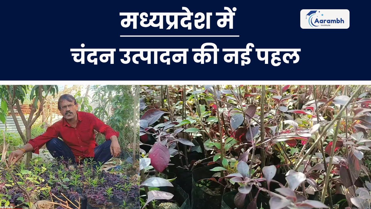 मध्यप्रदेश में चंदन उत्पादन की नई पहल