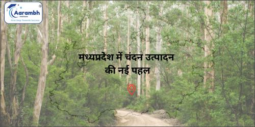 मध्यप्रदेश में चंदन उत्पादन की नई पहल