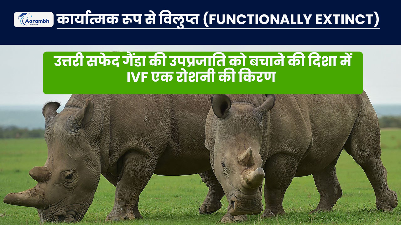 कार्यात्मक रूप से विलुप्त (Functionally Extinct) उत्तरी सफेद गैंडा की उपप्रजाति को बचाने की दिशा में IVF एक रोशनी की किरण