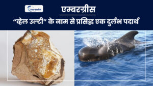 Read more about the article एम्बरग्रीस: “व्हेल उल्टी” के नाम से प्रसिद्ध एक दुर्लभ पदार्थ