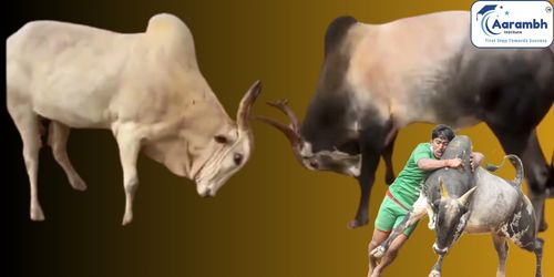 जल्लीकट्टू