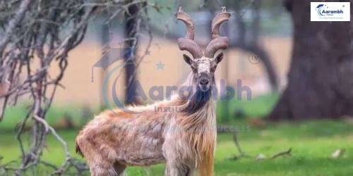Lachipora Wildlife Sanctuary Latest News (लाचीपोरा वन्यजीव अभयारण्य ताज़ा समाचार)