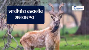 Read more about the article लाचीपोरा वन्यजीव अभयारण्य