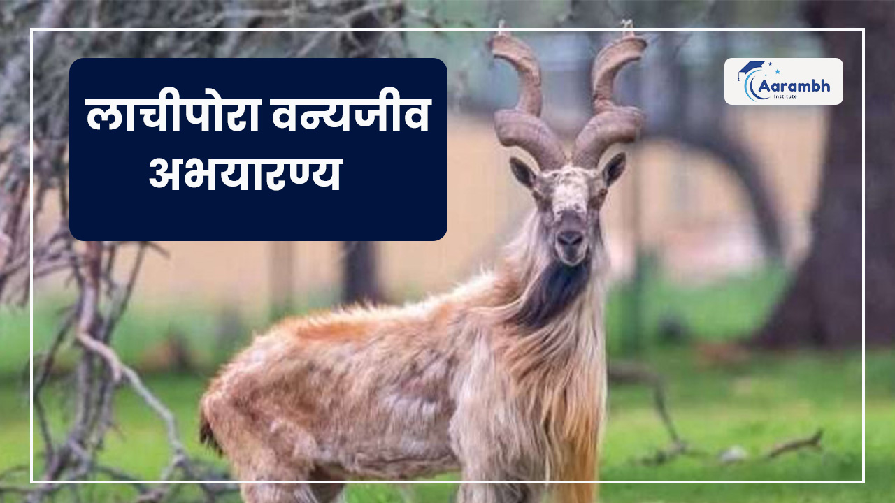 लाचीपोरा वन्यजीव अभयारण्य