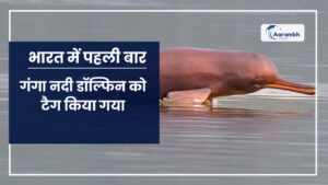 Read more about the article भारत में पहली बार गंगा नदी डॉल्फिन को टैग किया गया