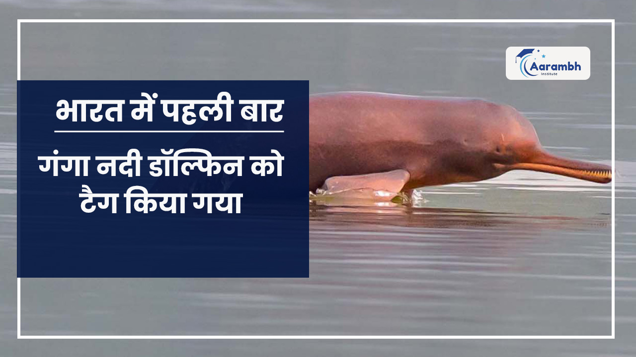 भारत में पहली बार गंगा नदी डॉल्फिन को टैग किया गया